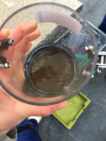 What's left in the bottom of the pump net - gold-dust! (er... plankton...)